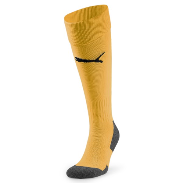 Team LIGA Socks Core